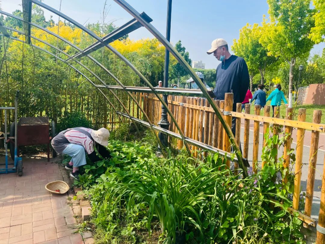 他们在天津市中心造700㎡小森林,快乐抱团养老