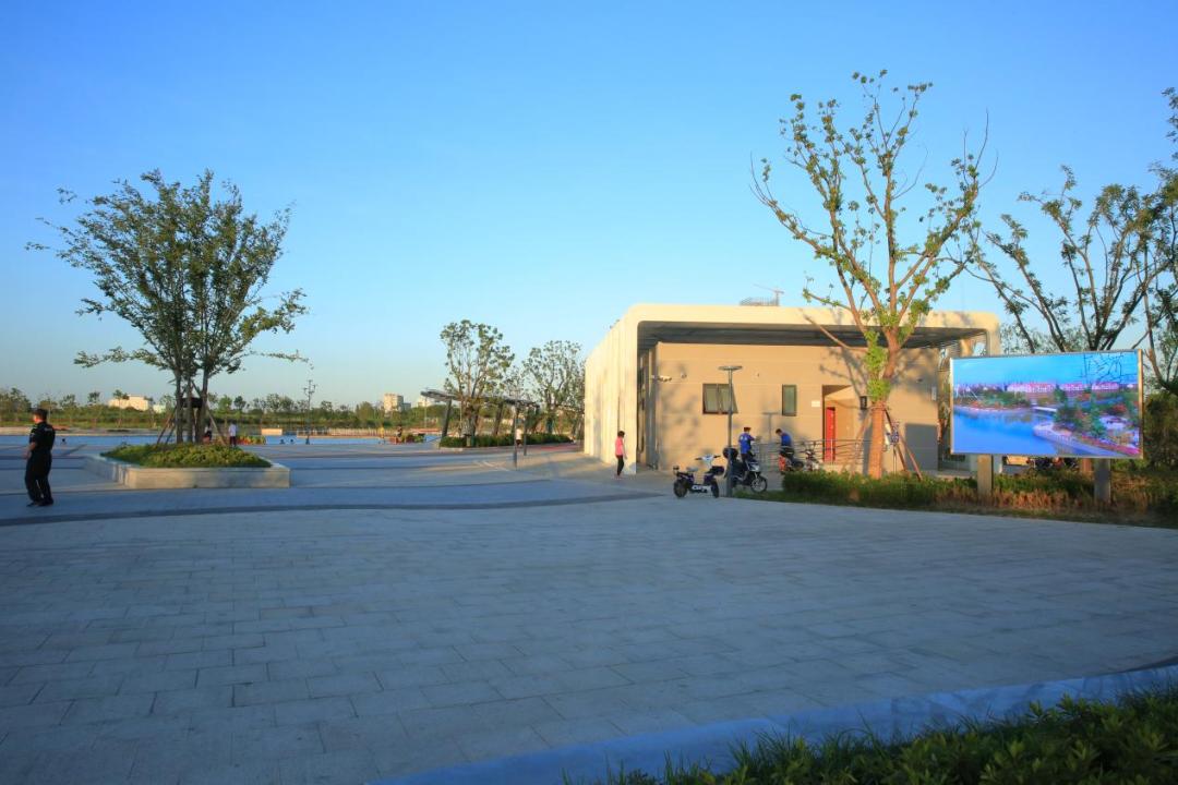夏日"沪"水游丨青浦:赏水岸画卷 悦动环城水系公园