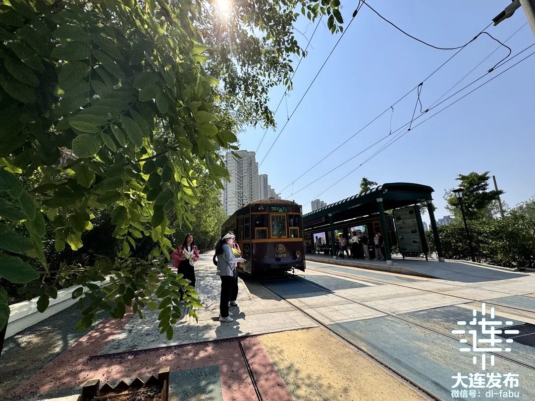 新有轨电车站,大连新打卡地!