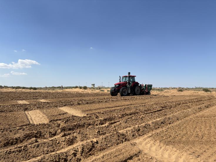 甚?长势好 不浇水 还防沙? 看看鄂托克前旗种植界的"白富美"