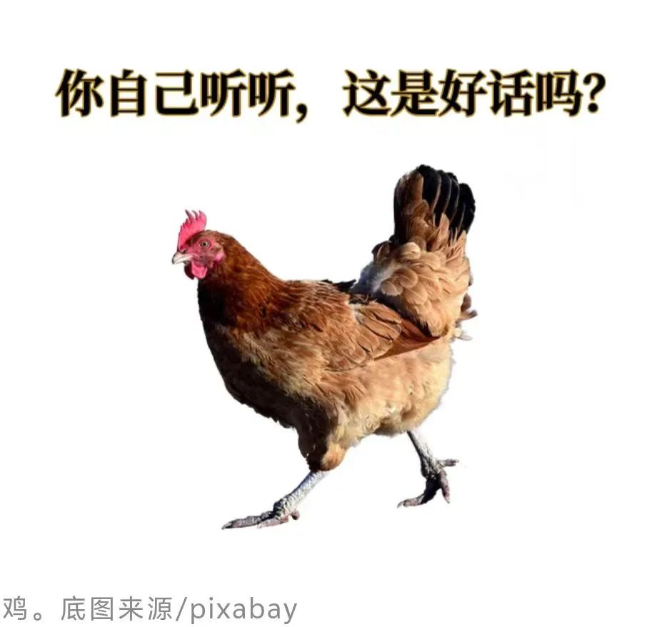什么情况下,我说愚不可及,勾心斗角是在夸你?