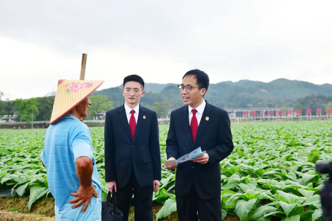 "一村(居)一法官"打造诉源治理好"枫"景