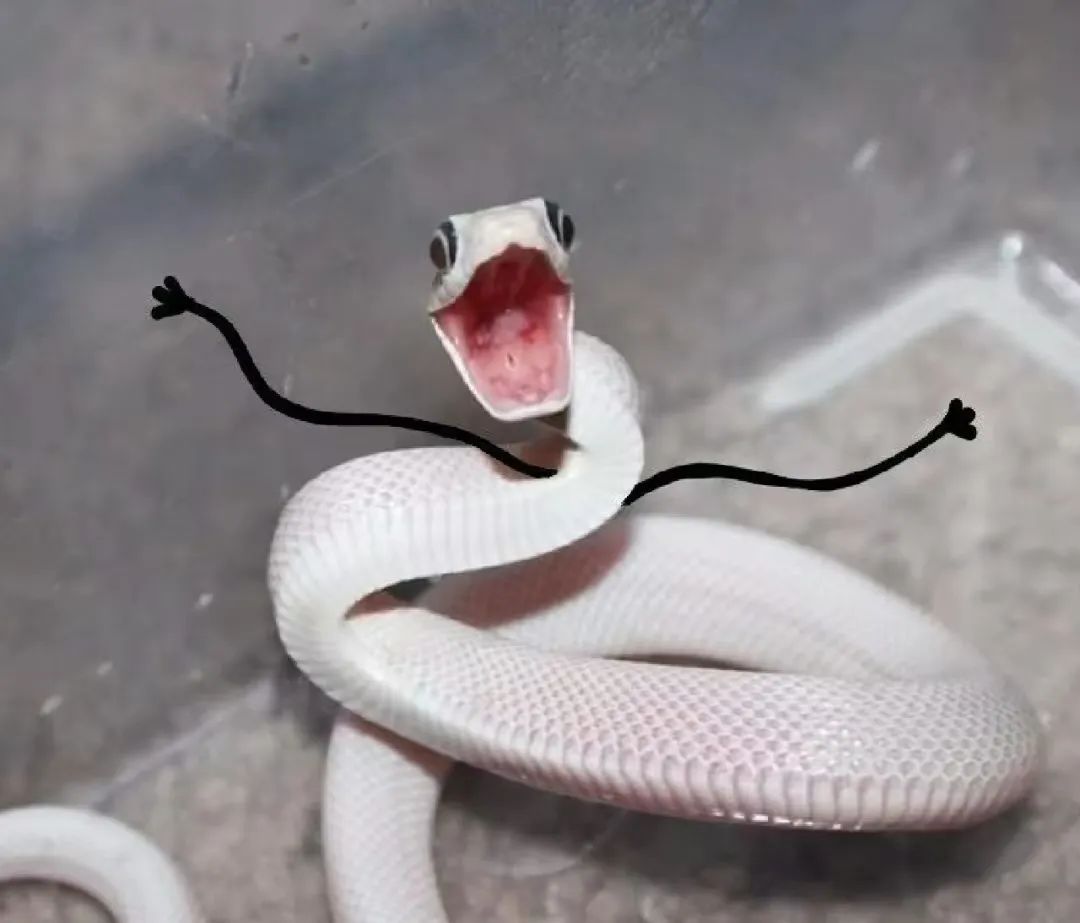 我要报警,对,我公安局的.