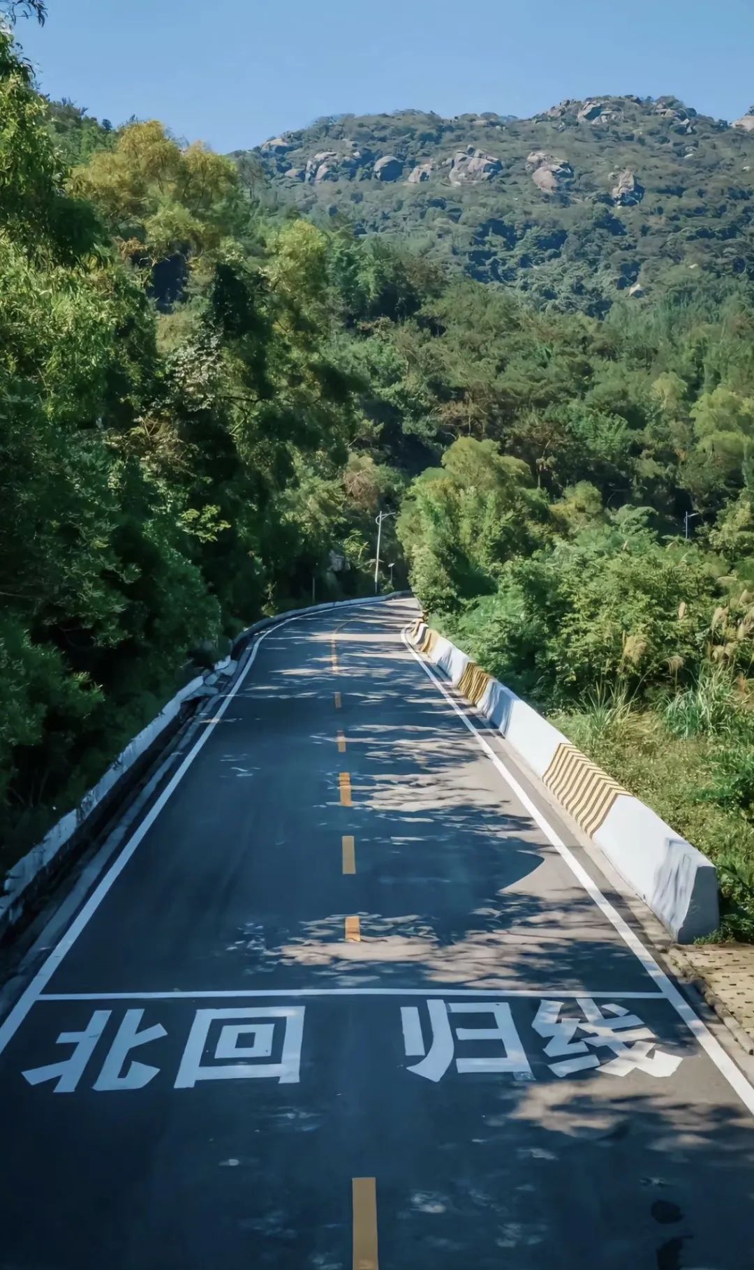 南澳岛黄花山森林公园图片