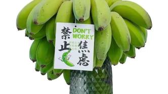 吃绿蕉防“蕉绿”，小心吃出肠梗阻