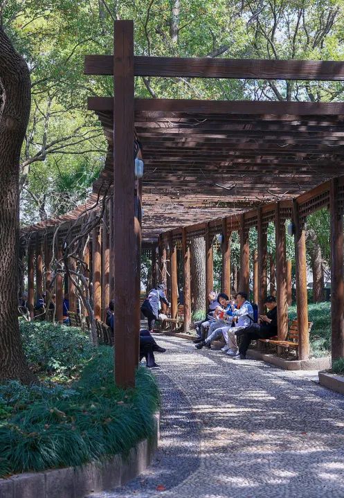 来黄浦这些公园感受一下吧