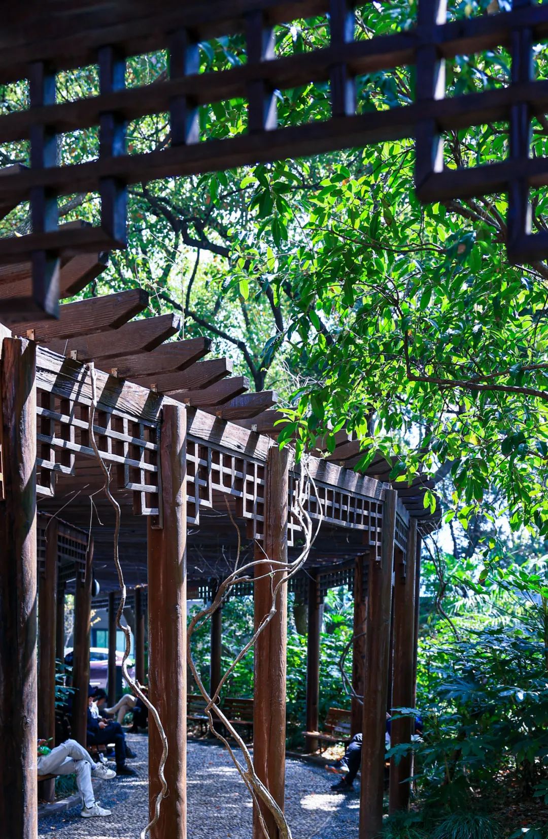 来黄浦这些公园感受一下吧