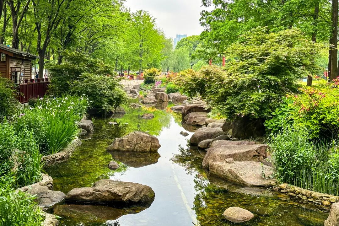 来黄浦这些公园感受一下吧