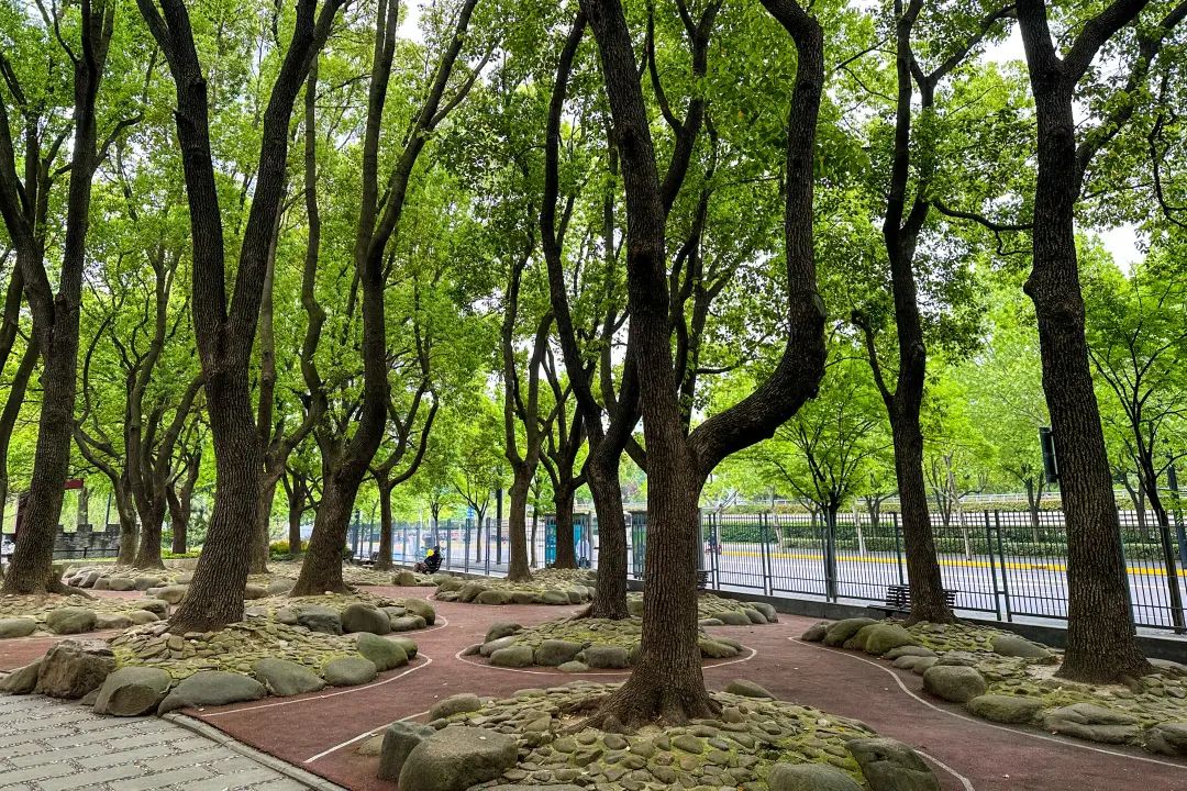 来黄浦这些公园感受一下吧