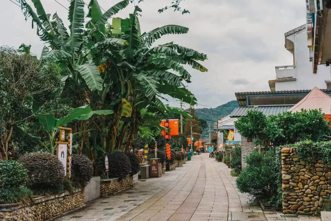 温州家风研学线路,等您来走走,学学,嘻嘻!