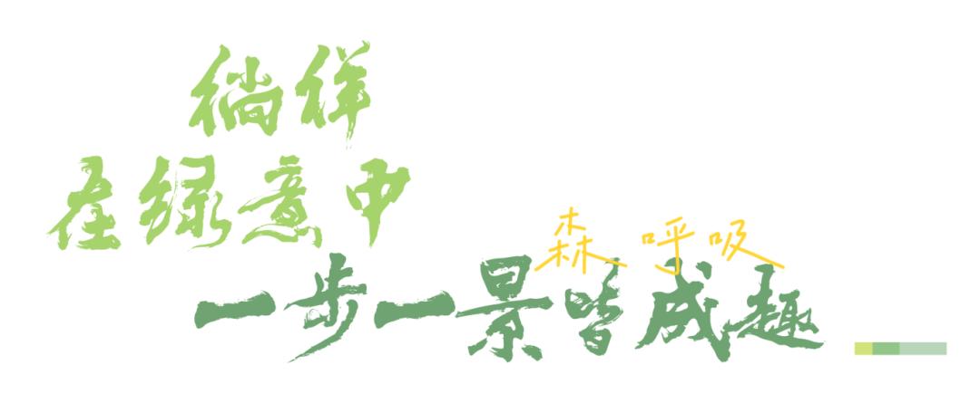 英山的薄荷曼波,给夏天一点颜色瞧瞧!