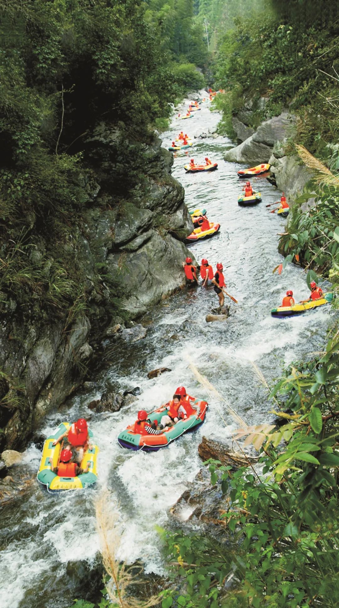英山的薄荷曼波,给夏天一点颜色瞧瞧!