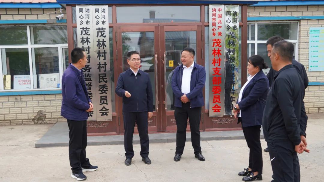 王永平深入乡镇督导检查当前重点工作