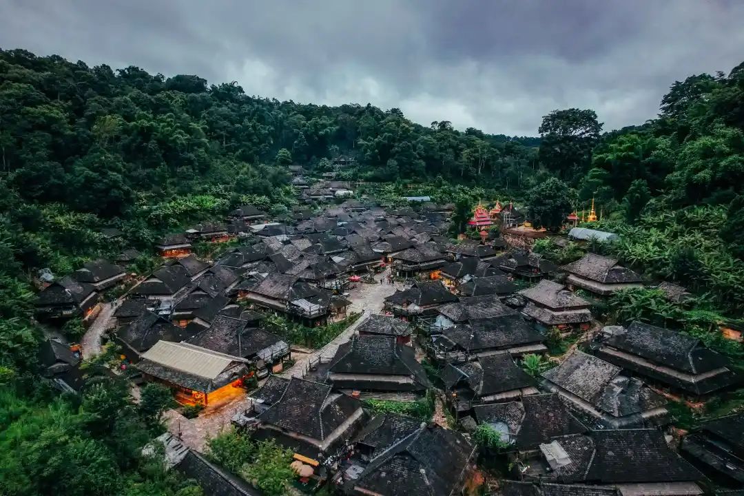 聚焦丨经济日报整版报道景迈山