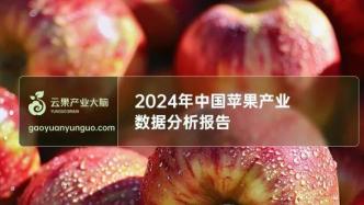 2024年中国苹果产业数据分析简报