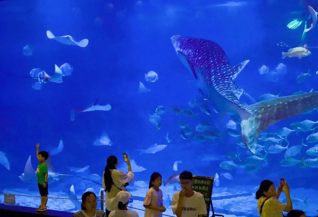 烟台这些遛娃打卡地,超赞!