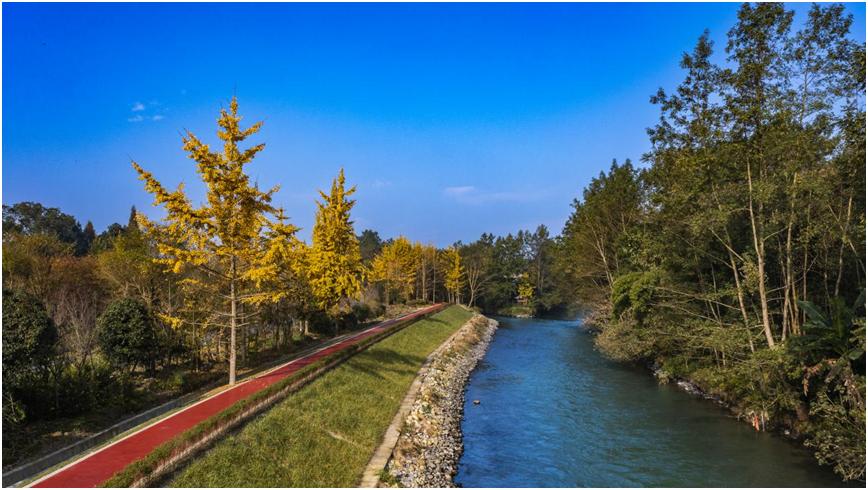 成都西边这个小镇:在"诗情画意"里描摹出乡村新样板