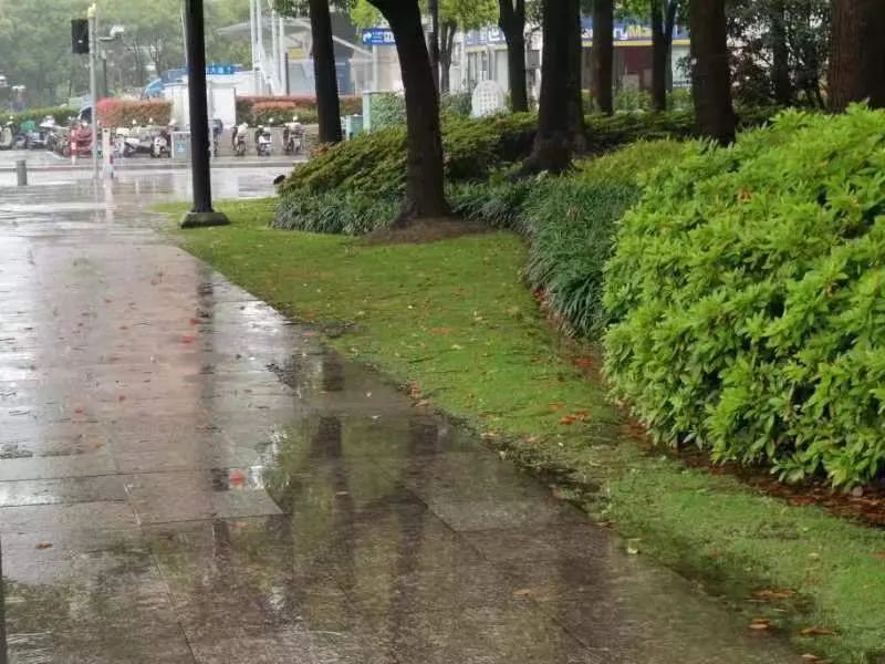 今天金山雨雨雨!周末好天气恰逢"六一",适合出游