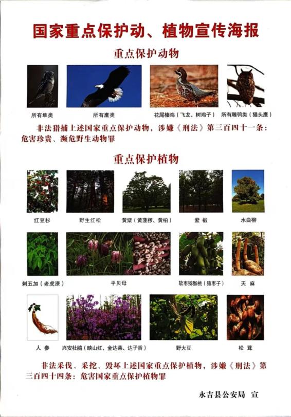 永吉县公安局森林警察大队开展野生动植物保护集中宣传活动