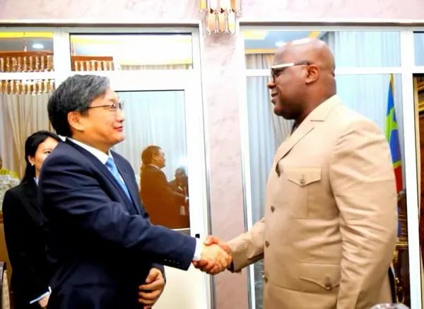 刚果(金)总统齐塞克迪,总理图卢卡,副总理兼外长卢通杜拉分别会见刘特