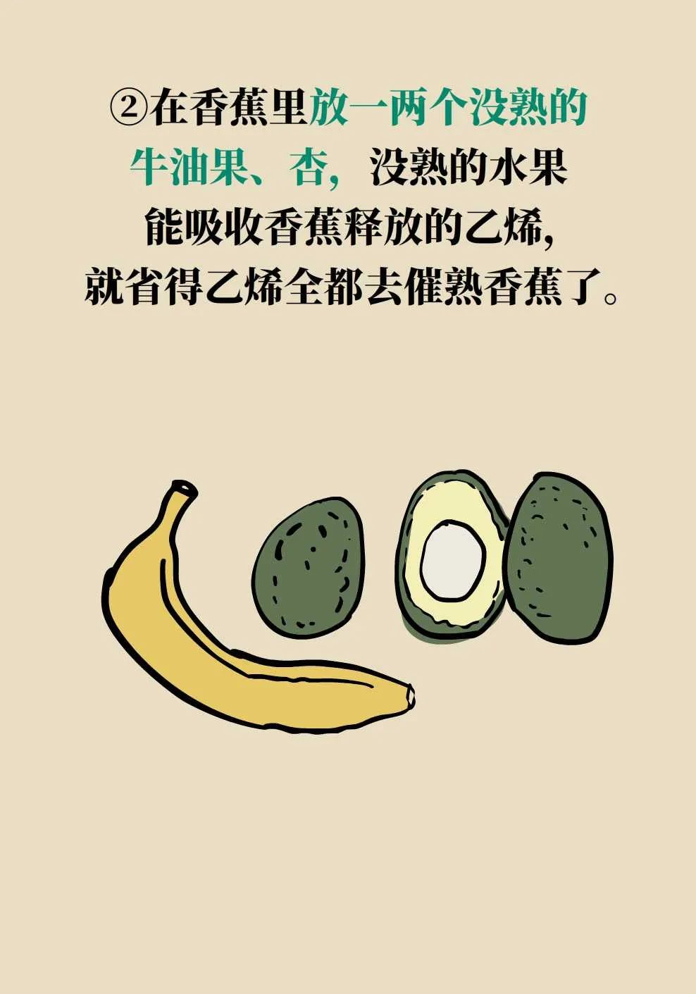 465.jpg