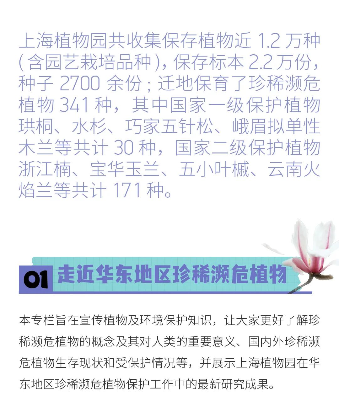 2024年上海植物园6月科普月历