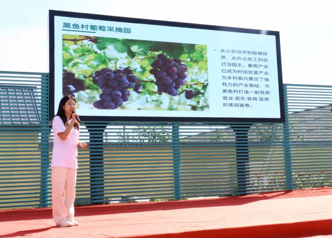 都供游客采摘以及西红柿,黄瓜等大棚蔬菜海棠,鸡心果等水果除葡萄外