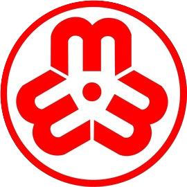 健康中国 母亲行动--健康讲座进社区