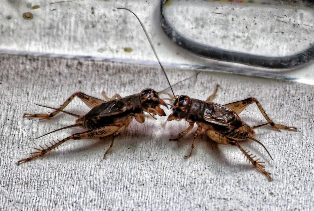 那些年我们曾经这样玩