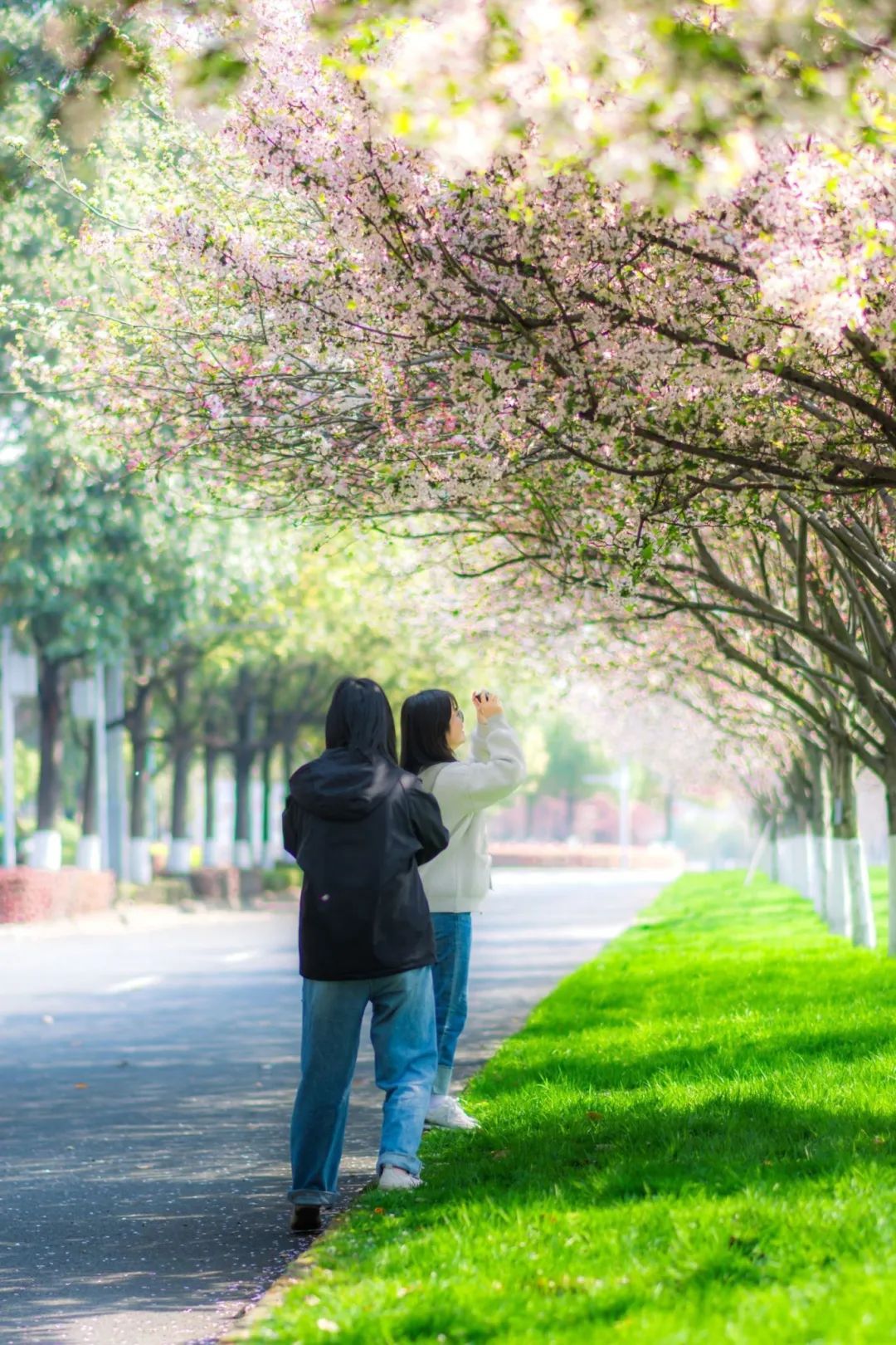 打开纸飞机,查看儿时来信 !