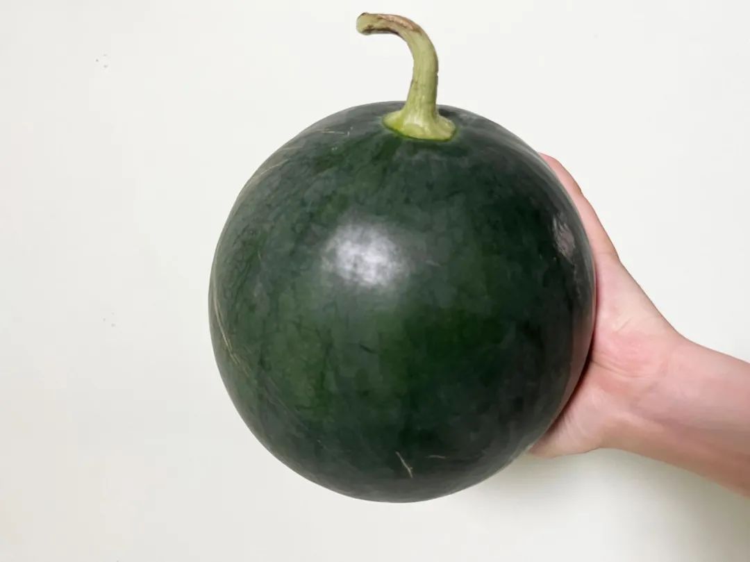 特小凤西瓜黄瓤瓜们基本甜度手,既有让人眼前一亮的清甜,又不至于