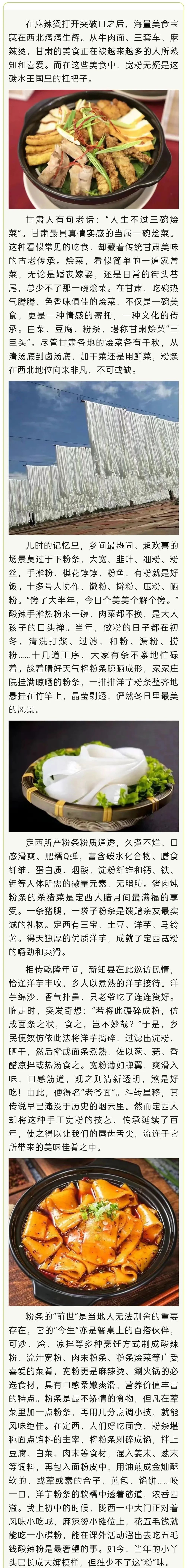 定西宽粉:甘肃碳水王国里的扛把子