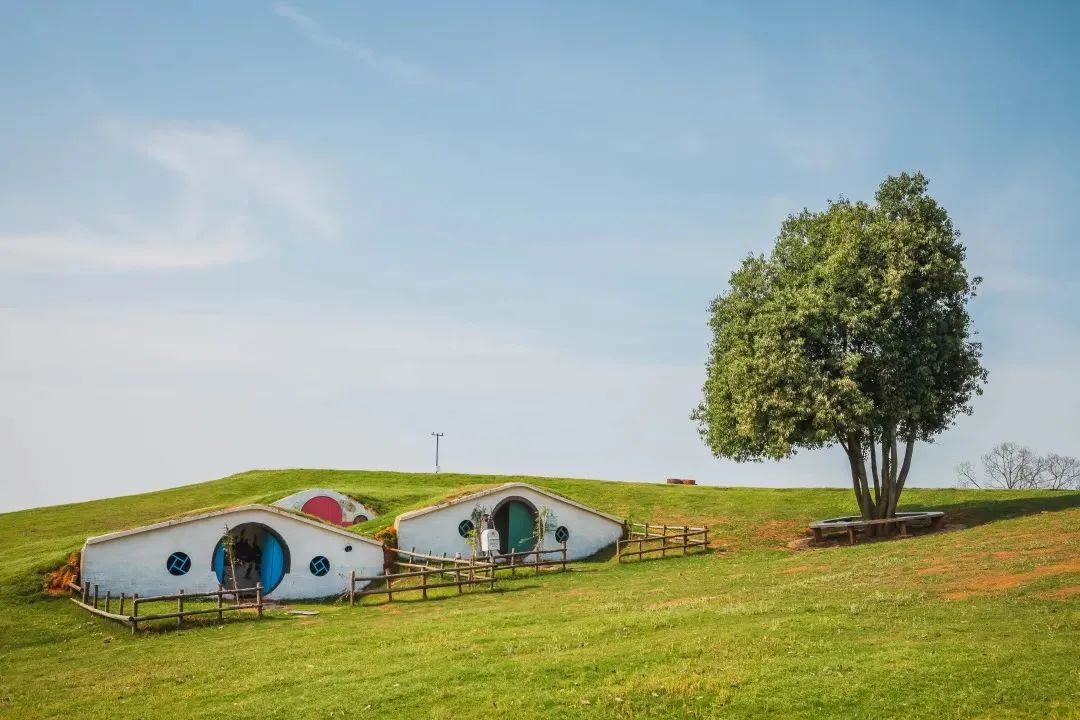 童未来,共"金"彩(八十五)|六一游玩"宝典",请打开!