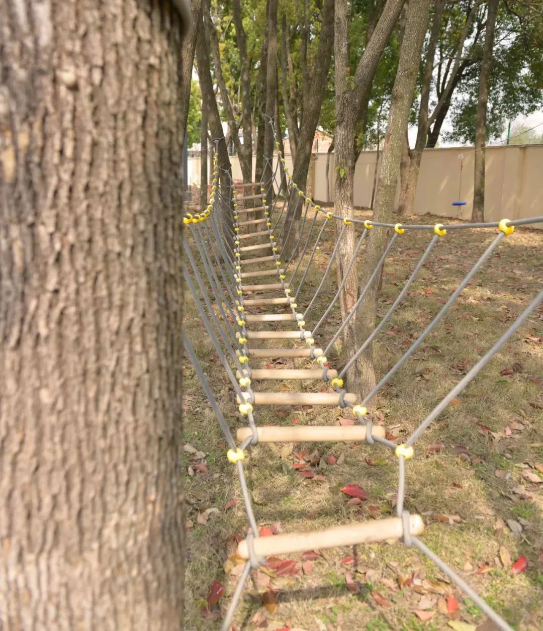 童未来,共"金"彩(八十五)|六一游玩"宝典",请打开!