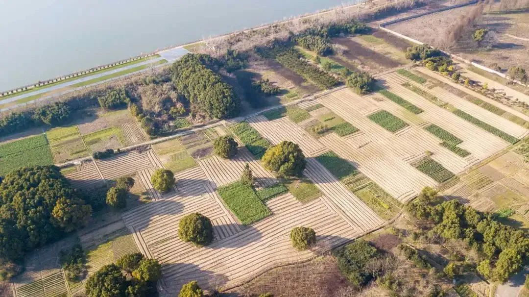 童未来,共"金"彩(八十五)|六一游玩"宝典",请打开!