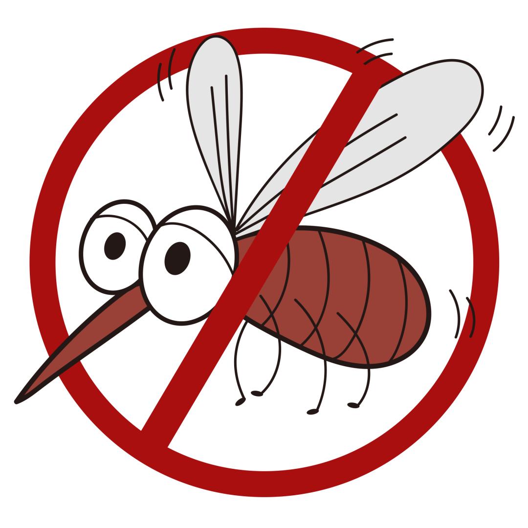 又到了和蚊子战斗的季节,这些灭蚊绝招拿走不谢