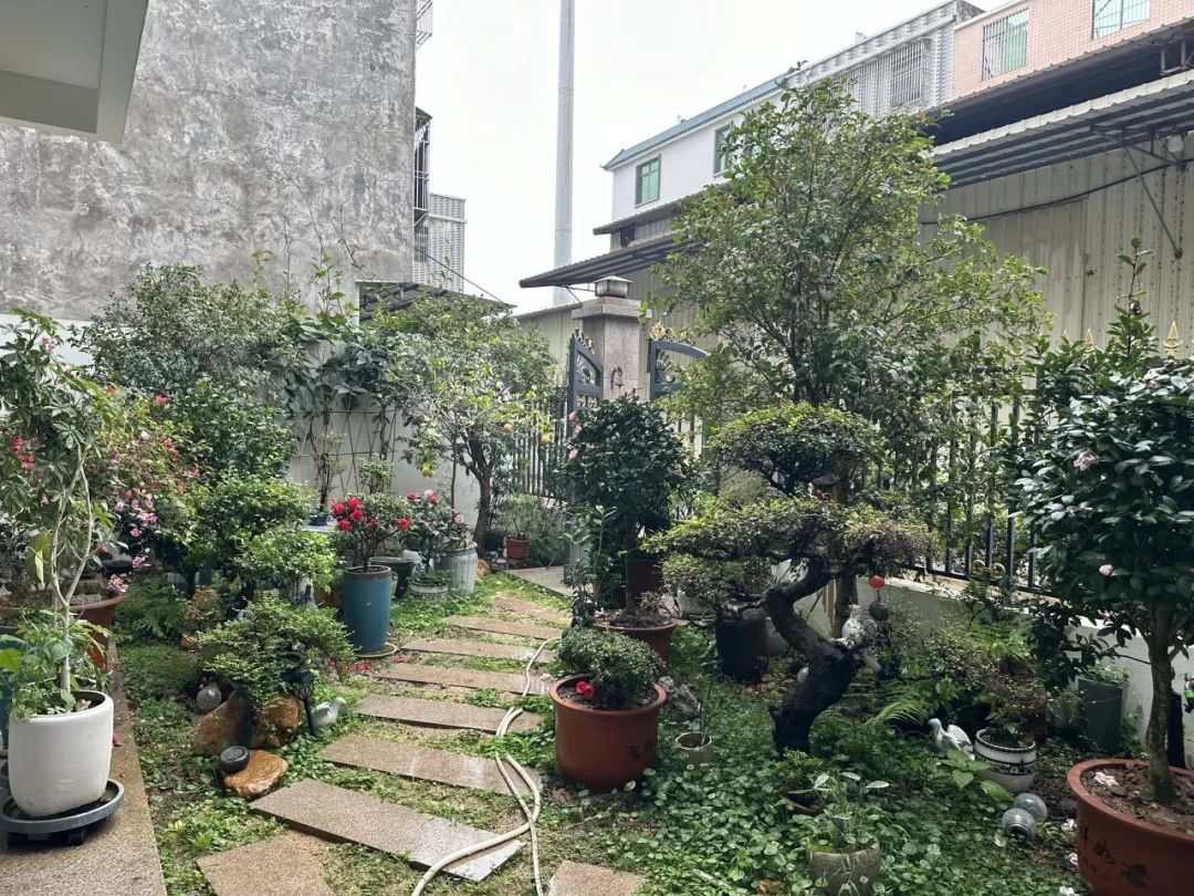 "小美"庭院扮靓"大美"乡村| 潮州市"晒晒我家美丽庭院