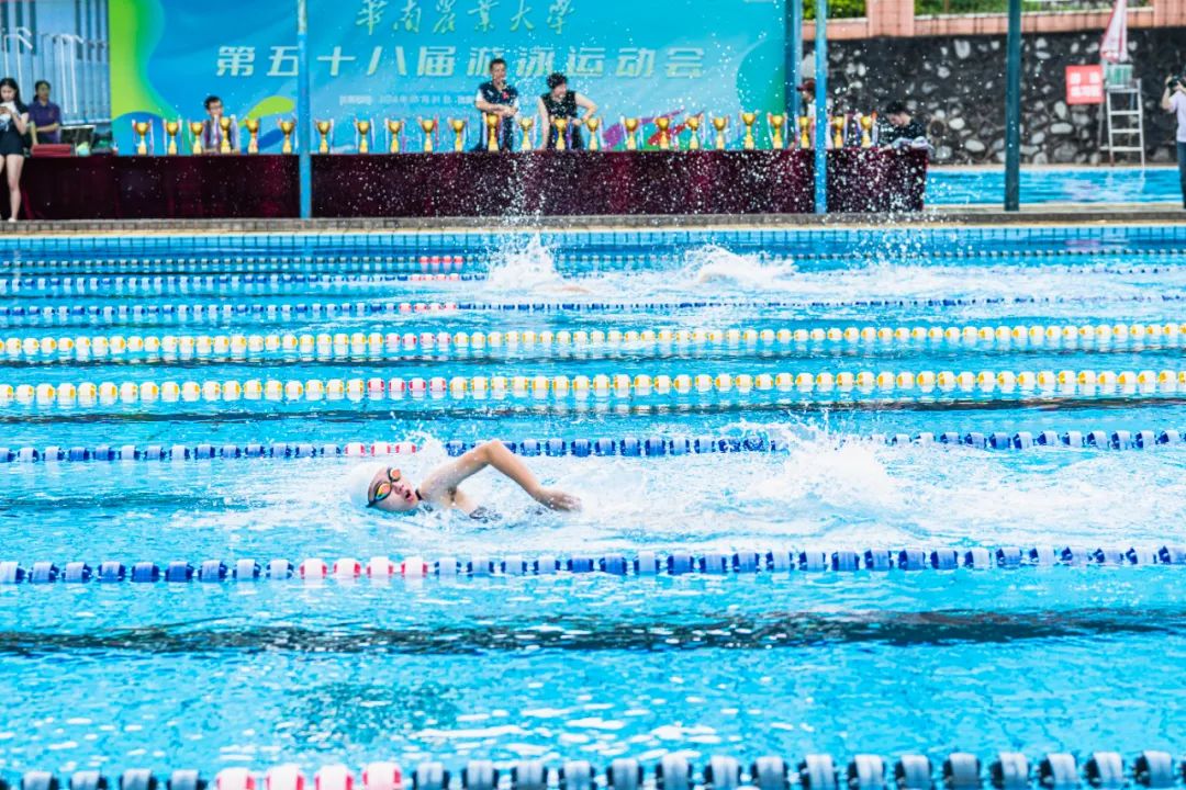 清 凉  夏,泳 池 争 霸!