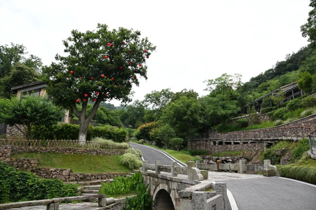 全媒体记者 张大岗 摄5月31日拍摄的庐江县汤池镇田园客厅项目.