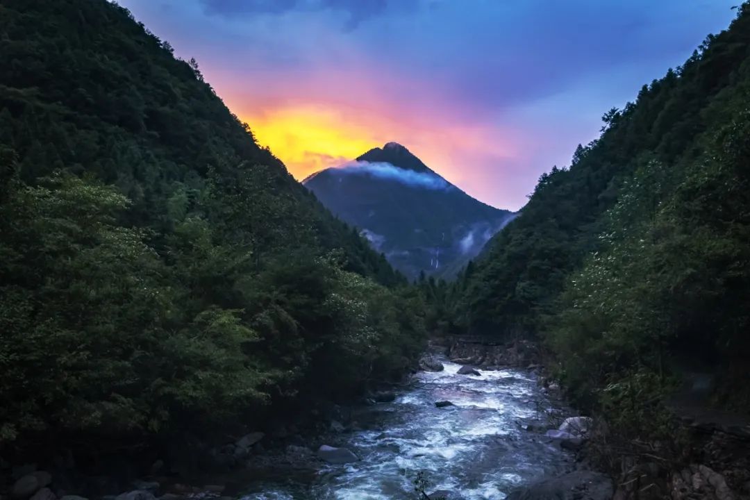 初夏游丽水:浙西南原始秘境  遂昌九龙山