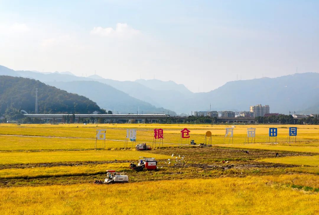 "千年古邑 魅力昆阳"全省摄影大赛入选作品