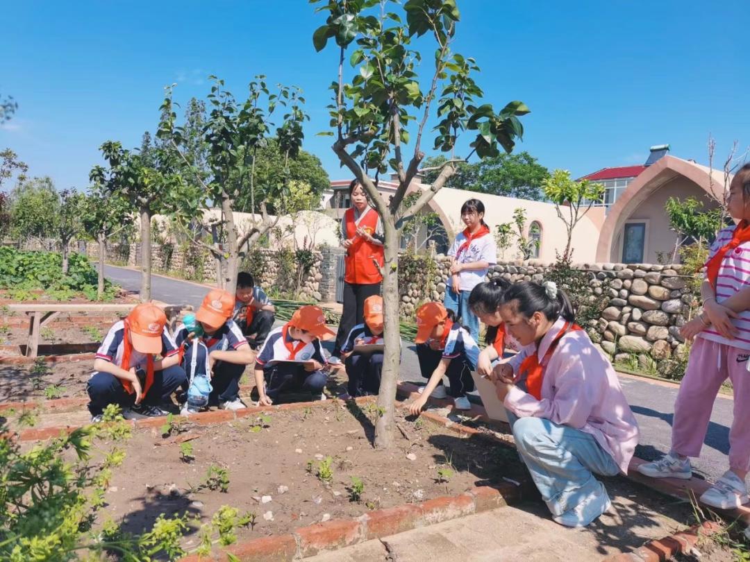 同大镇妇联庐江县人民医院妇联组织儿科医护人员前往城西小学开展以"