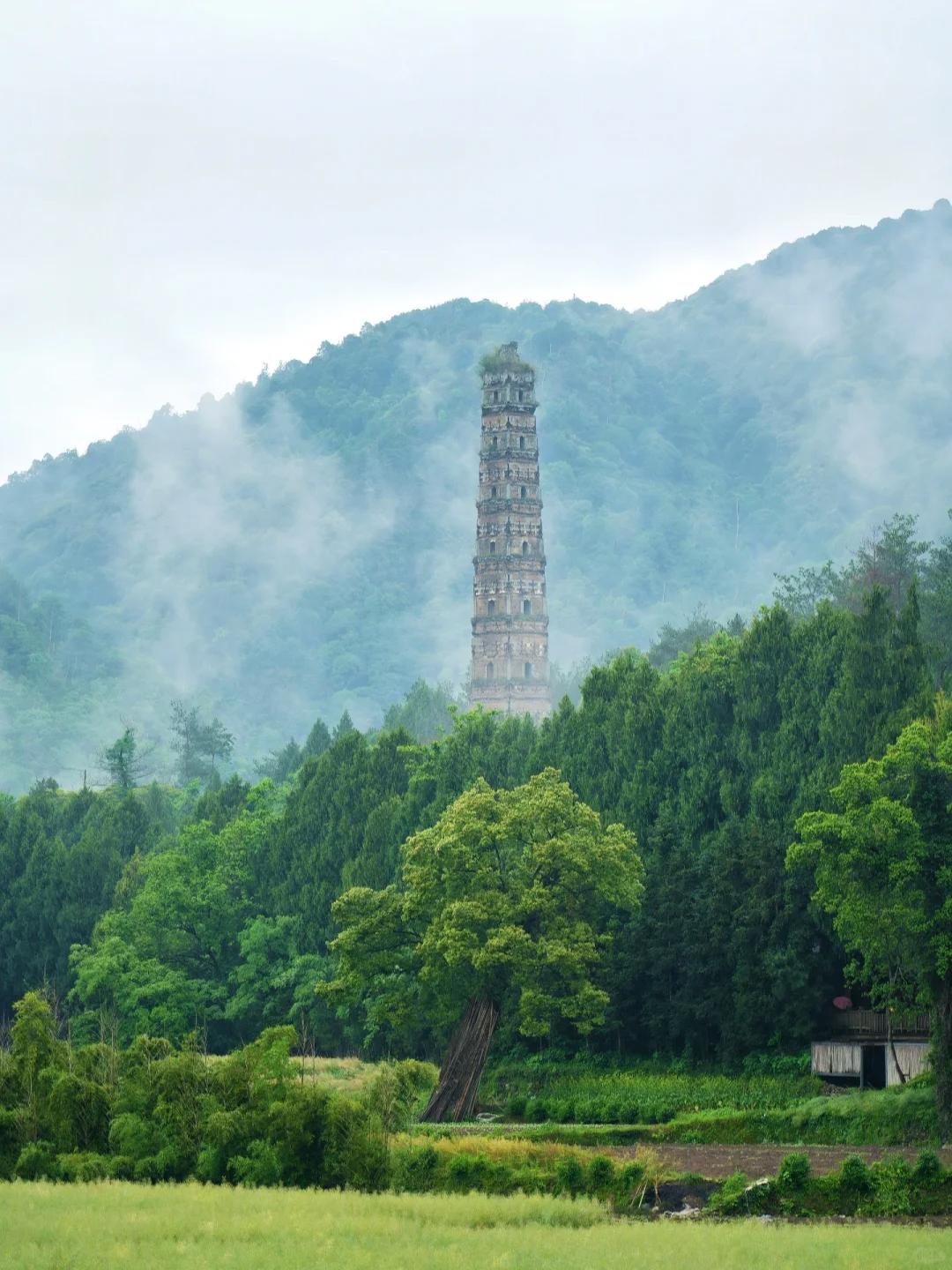 杭州边超好吃的小县城,与千年古刹相邻,私藏5a级景点