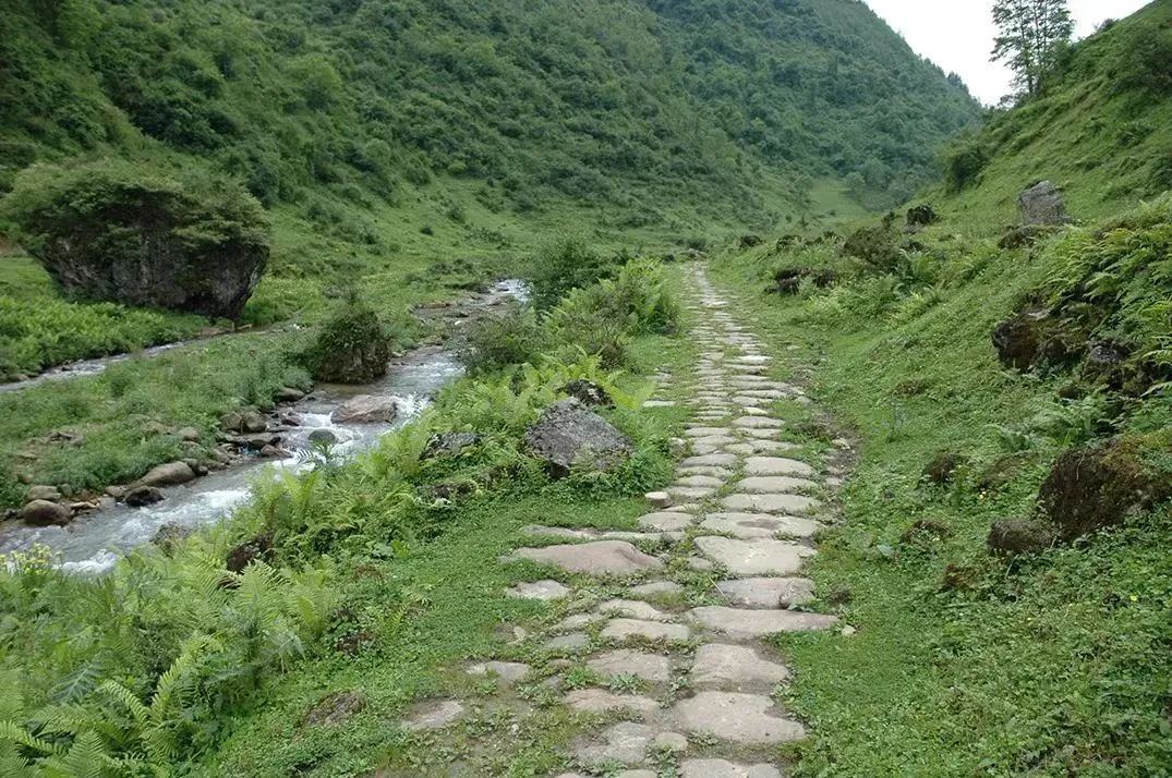 清溪峡古道.图片来源:凉山文旅我仿佛知晓什么,又仿佛一无所知.