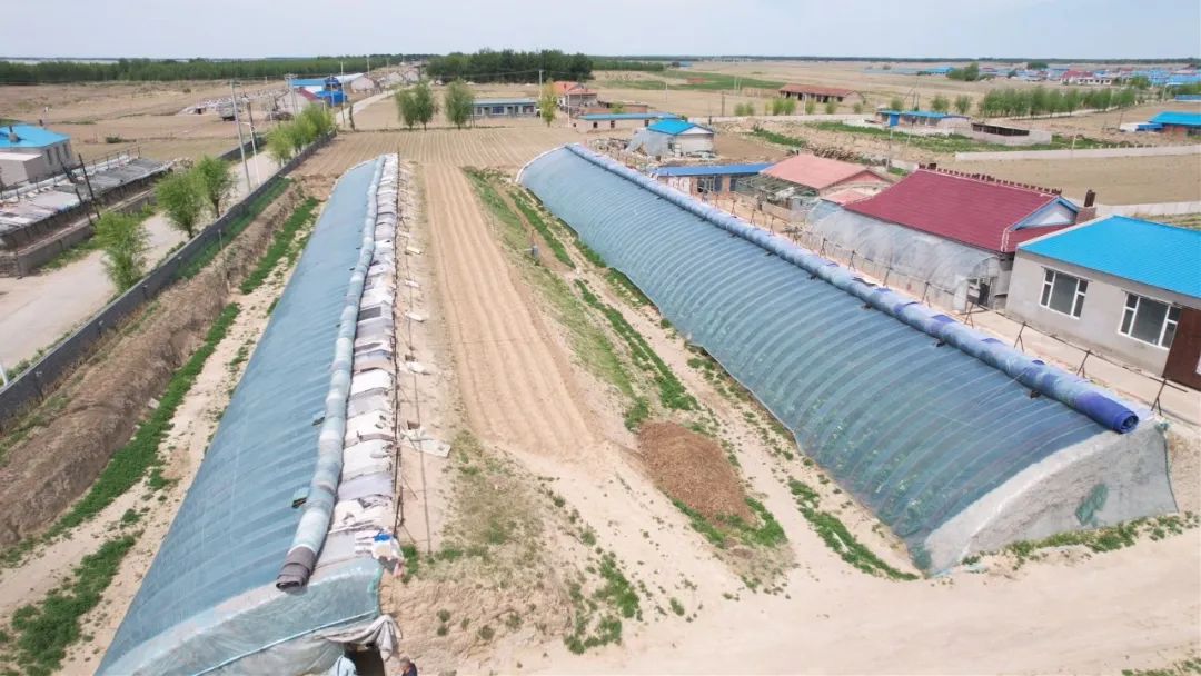 【美丽长岭 乡村振兴】长岭县太平川镇:做"活"棚膜经济 "种"出好日子