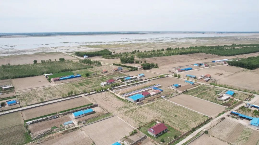 【美丽长岭 乡村振兴】长岭县太平川镇:做"活"棚膜经济 "种"出好日子