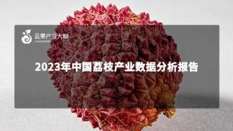 中国荔枝产业数据分析简报