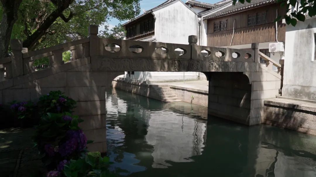 青浦白鹤老街女地址图片