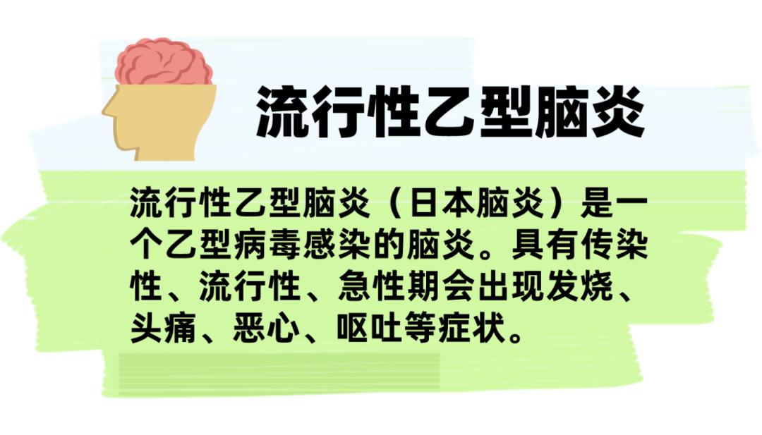 还有的,被叮咬后长出手掌一样大的红包8915五一假期回来曾有新闻