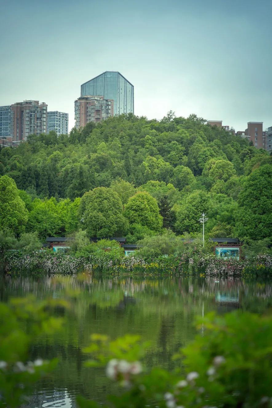 逛起!在贵阳贵安的"超级公园"里尽情撒欢_澎湃号